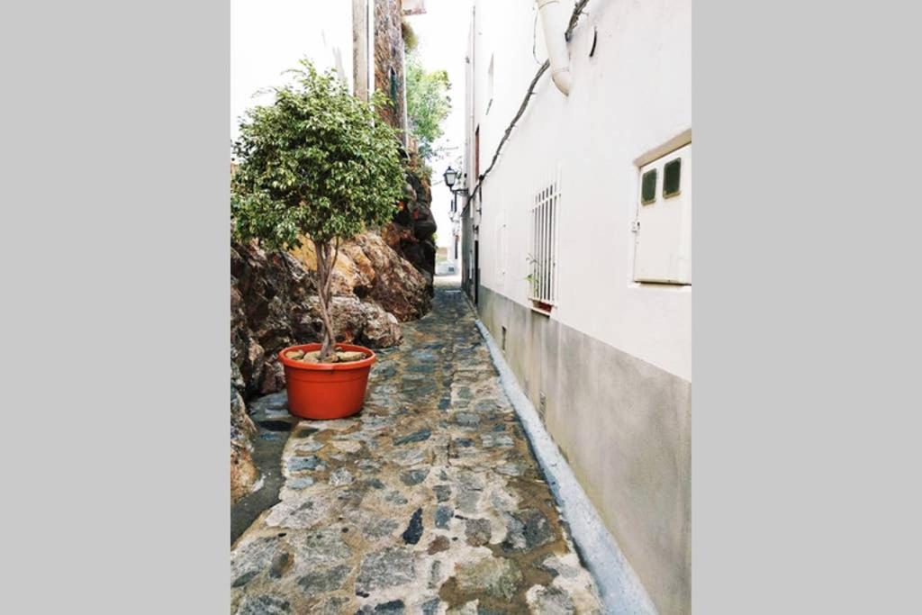 Apartamento Con Vistas En El Centro De 莫哈卡尔 外观 照片
